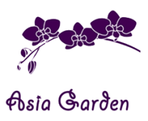 Asia Garden Chinese Restaurant Order Online 480 Chestnut St Union Nj Chinese Takeout Delivery