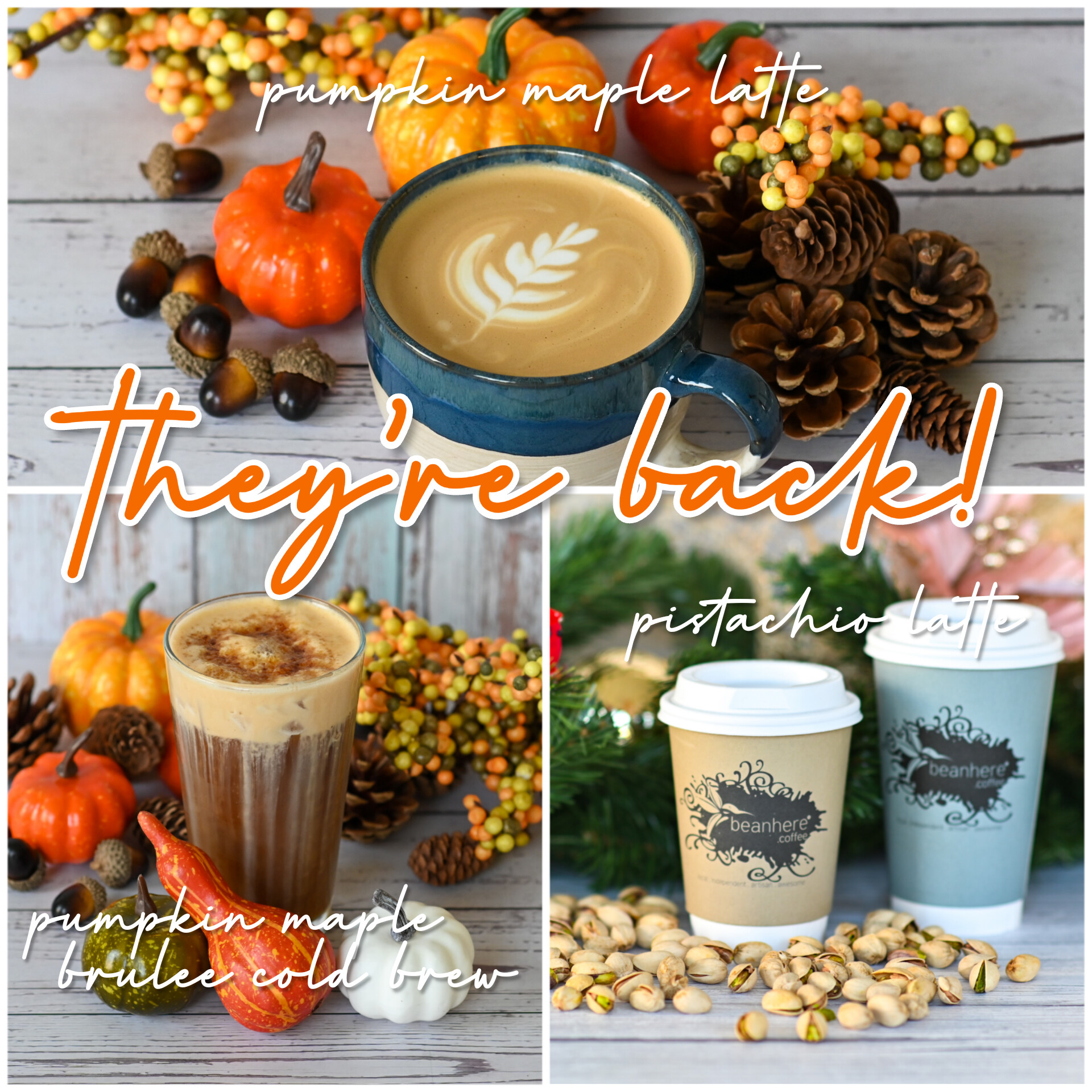 Fall specials