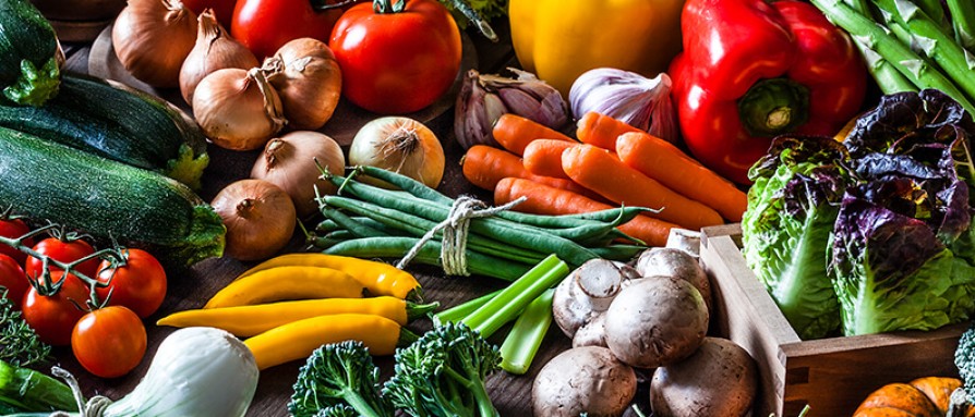 Vegetarian Dinners