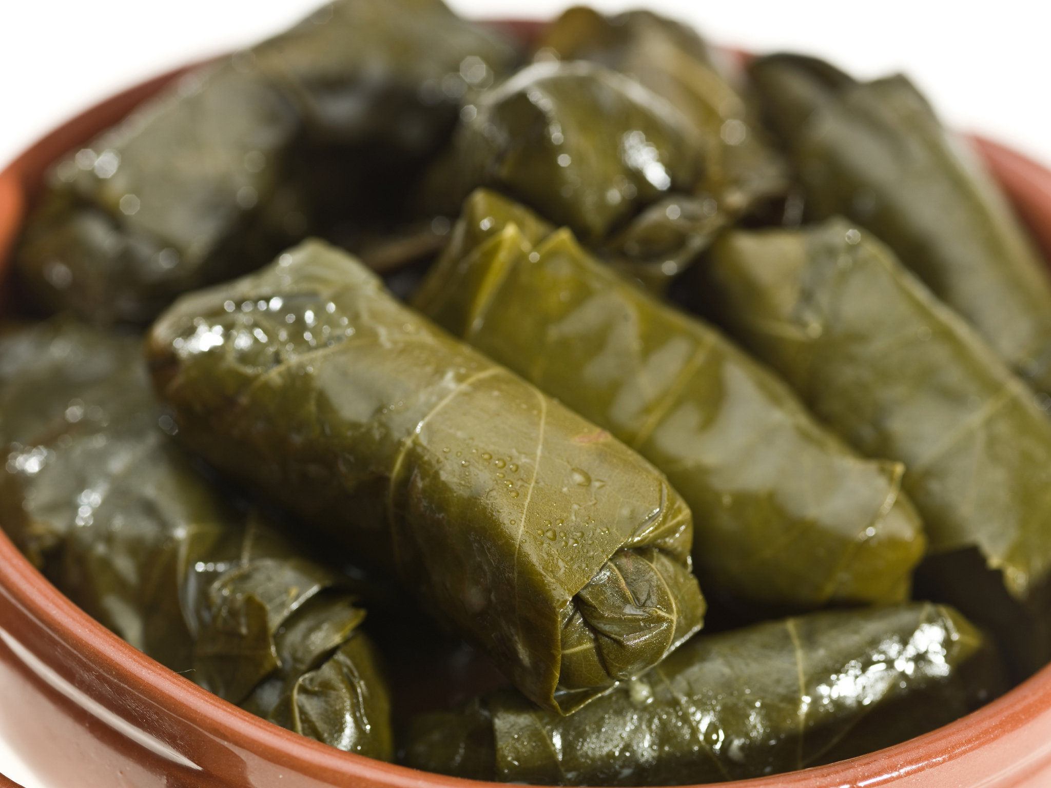 Greek Star Bar Grill Cafe Mediterranea STUFFED GRAPE LEAVES